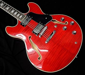 Amazon | Sire Larry Carlton H7 STR サイアー ラリーカールトン